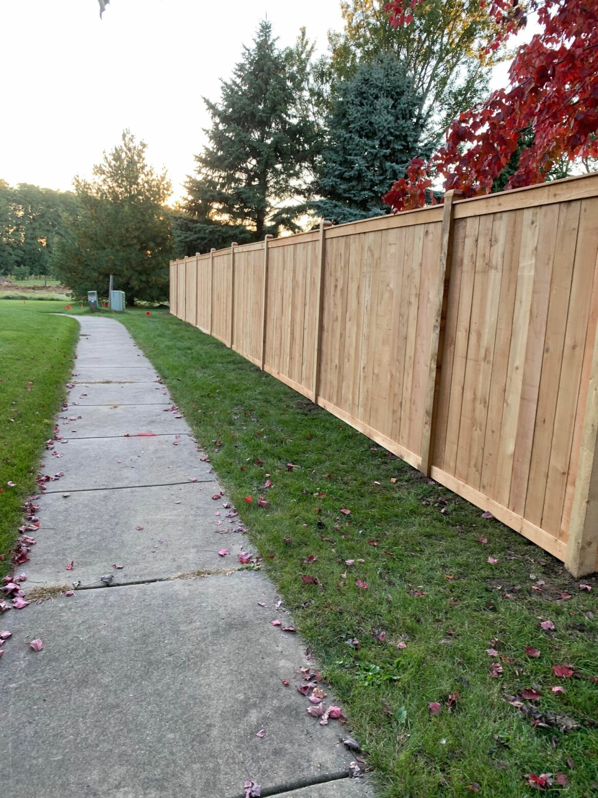 Wooden Fence Project 3